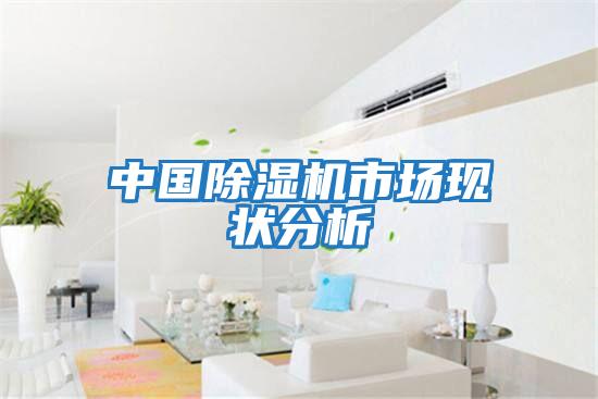 中國除濕機(jī)市場(chǎng)現(xiàn)狀分析