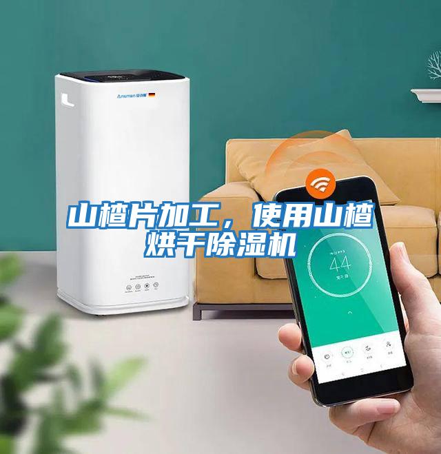 山楂片加工，使用山楂烘干除濕機(jī)