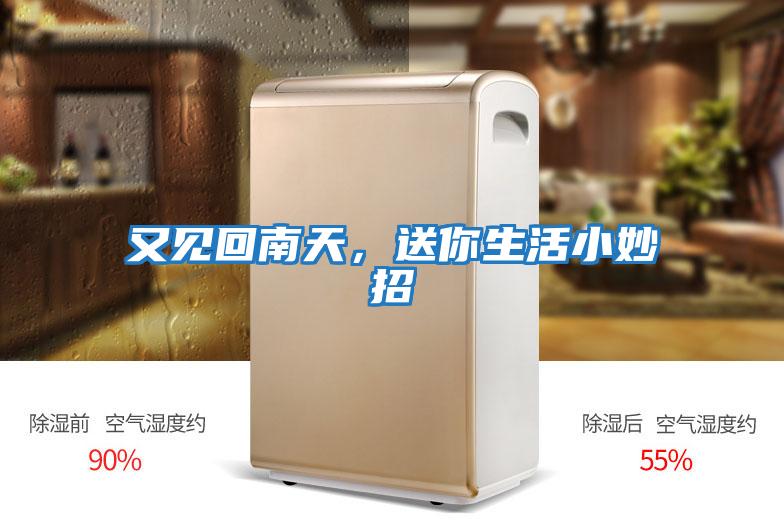 又見回南天，送你生活小妙招