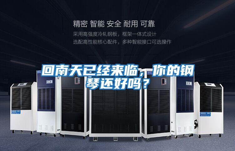 回南天已經來臨，你的鋼琴還好嗎？