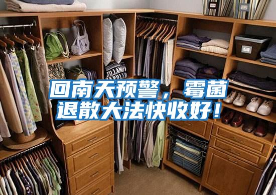 回南天預警，霉菌退散大法快收好！