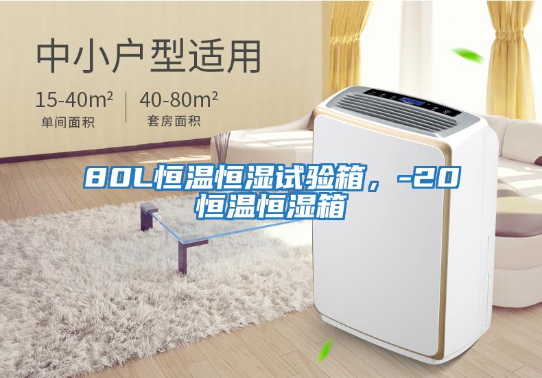 80L恒溫恒濕試驗箱，-20℃恒溫恒濕箱