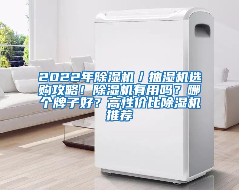 2022年除濕機(jī)／抽濕機(jī)選購(gòu)攻略！除濕機(jī)有用嗎？哪個(gè)牌子好？高性價(jià)比除濕機(jī)推薦