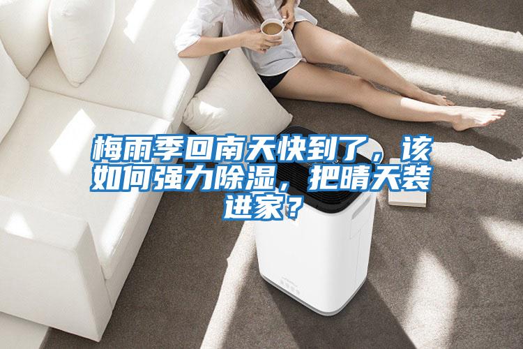 梅雨季回南天快到了，該如何強力除濕，把晴天裝進家？