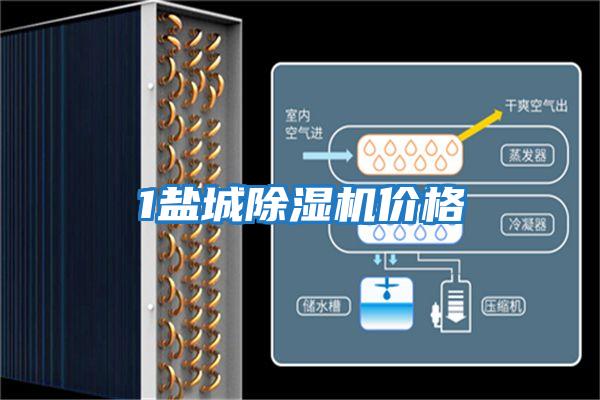 1鹽城除濕機(jī)價格