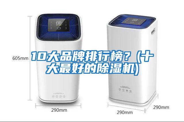 10大品牌排行榜？(十大最好的除濕機)