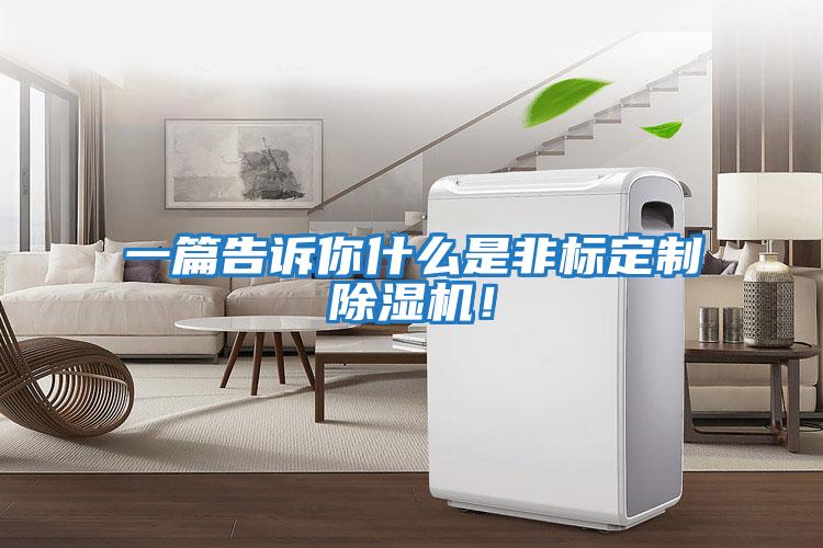 一篇告訴你什么是非標定制除濕機!