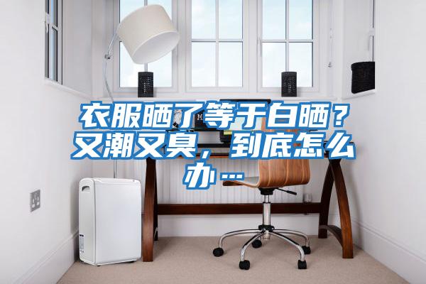 衣服曬了等于白曬？又潮又臭，到底怎么辦…