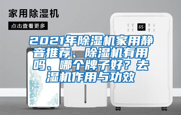 2021年除濕機家用靜音推薦、除濕機有用嗎、哪個牌子好？去濕機作用與功效