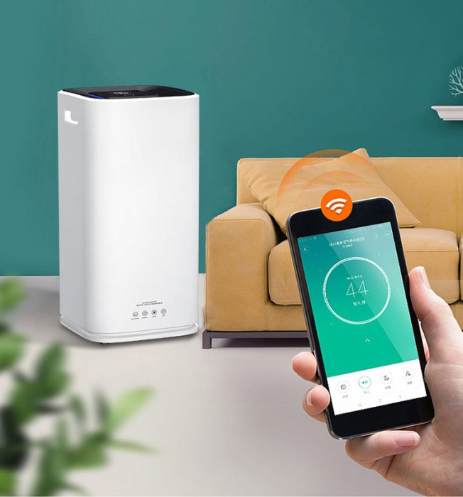 黃梅天潮氣泛濫，除濕機一招根治