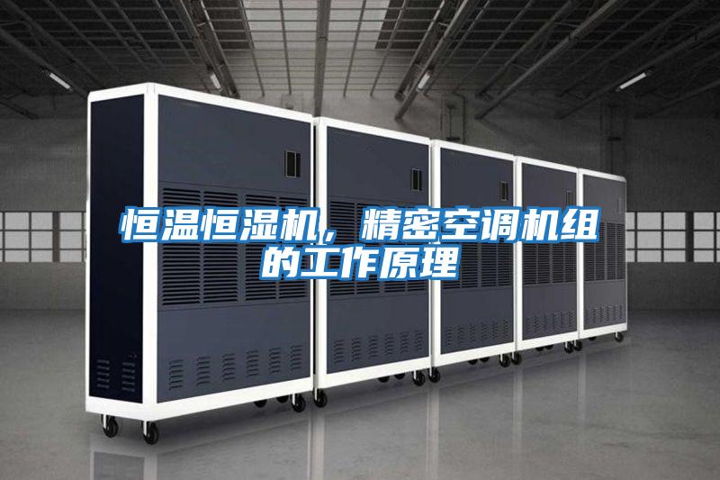 恒溫恒濕機(jī),精密空調(diào)機(jī)組的工作原理