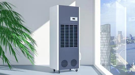 難見太陽，南方潮濕，使用除濕機