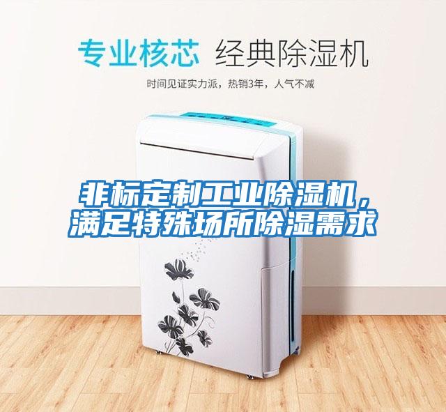 非標(biāo)定制工業(yè)除濕機(jī)，滿足特殊場(chǎng)所除濕需求