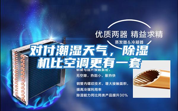 對付潮濕天氣，除濕機比空調(diào)更有一套