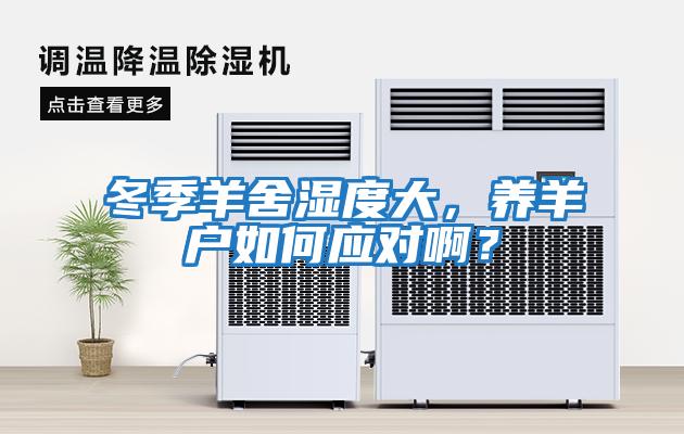 冬季羊舍濕度大，養(yǎng)羊戶如何應對啊？