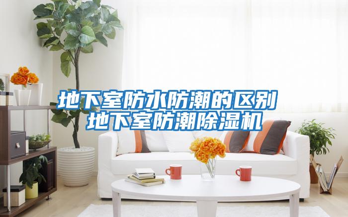 地下室防水防潮的區(qū)別 地下室防潮除濕機