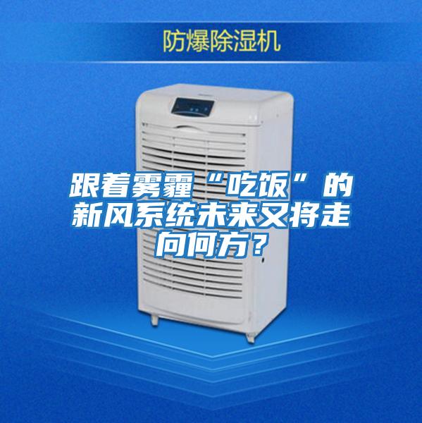 跟著霧霾“吃飯”的新風系統(tǒng)未來又將走向何方？