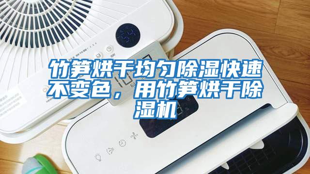 竹筍烘干均勻除濕快速不變色，用竹筍烘干除濕機