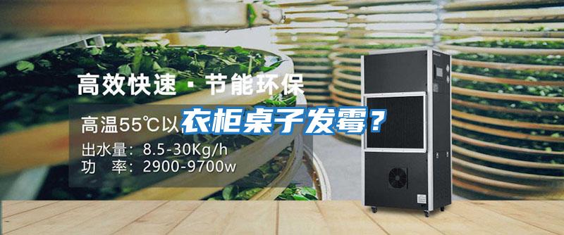 衣柜桌子發霉？