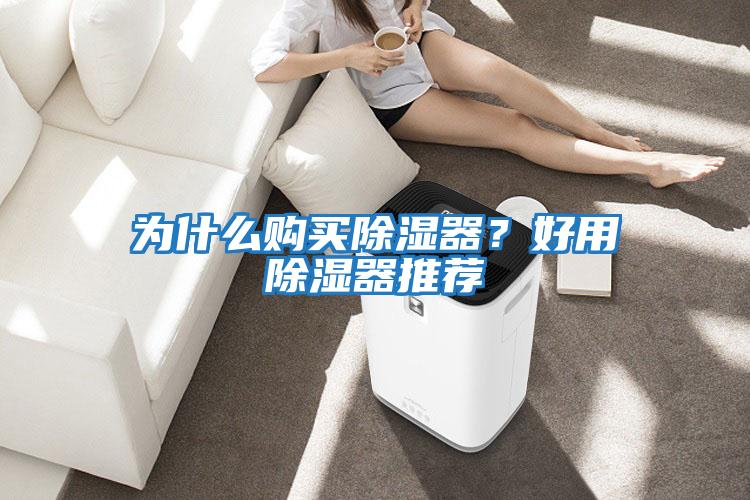 為什么購買除濕器？好用除濕器推薦
