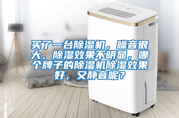 買了一臺除濕機，噪音很大，除濕效果不明顯，哪個牌子的除濕機除濕效果好，又靜音呢？