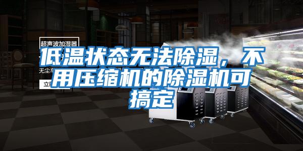 低溫狀態無法除濕，不用壓縮機的除濕機可搞定