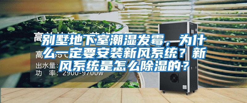 別墅地下室潮濕發霉，為什么一定要安裝新風系統？新風系統是怎么除濕的？