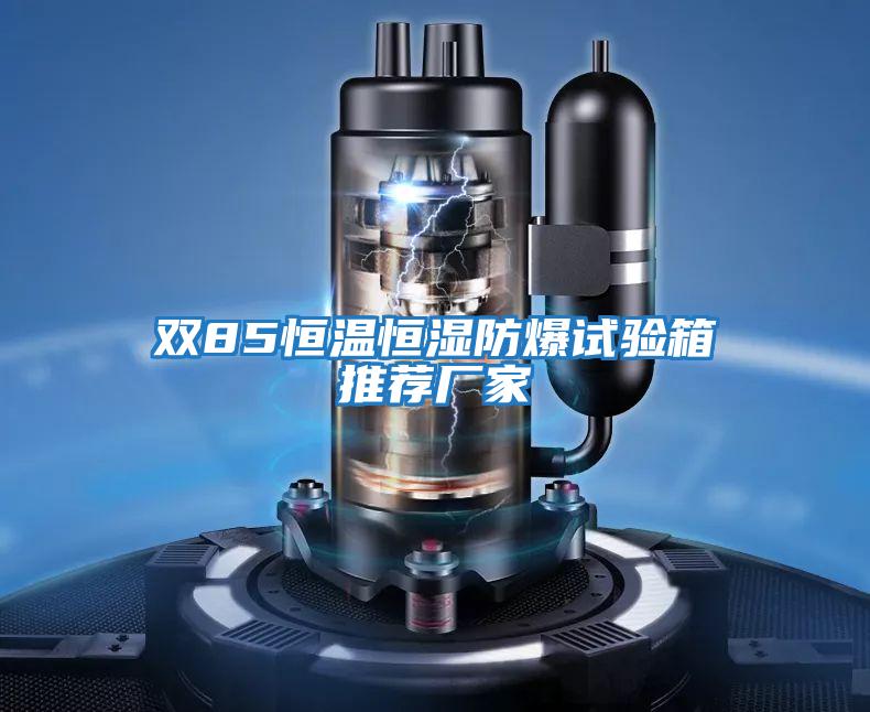 雙85恒溫恒濕防爆試驗(yàn)箱推薦廠(chǎng)家