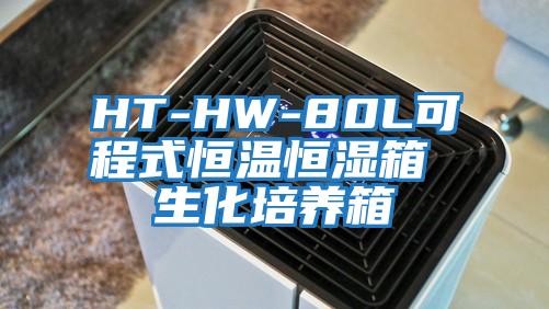 HT-HW-80L可程式恒溫恒濕箱 生化培養箱