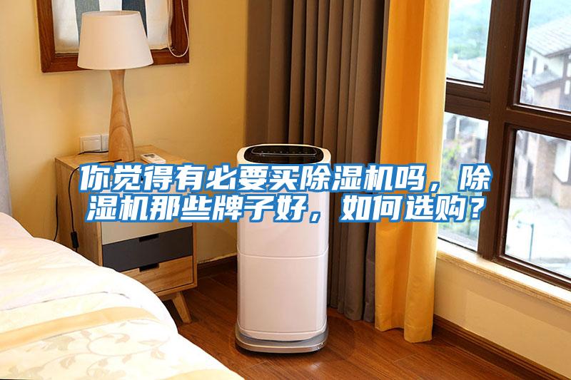 你覺(jué)得有必要買(mǎi)除濕機(jī)嗎，除濕機(jī)那些牌子好，如何選購(gòu)？