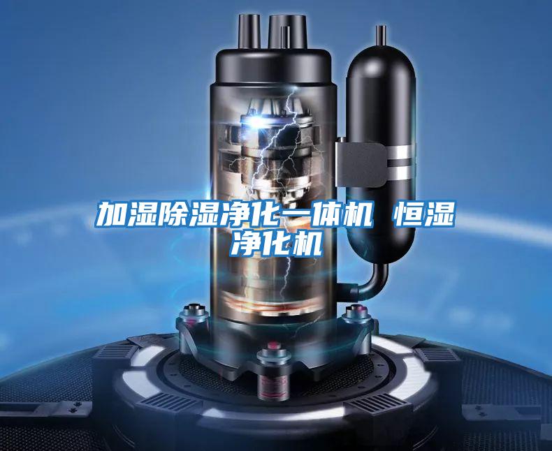 加濕除濕凈化一體機 恒濕凈化機