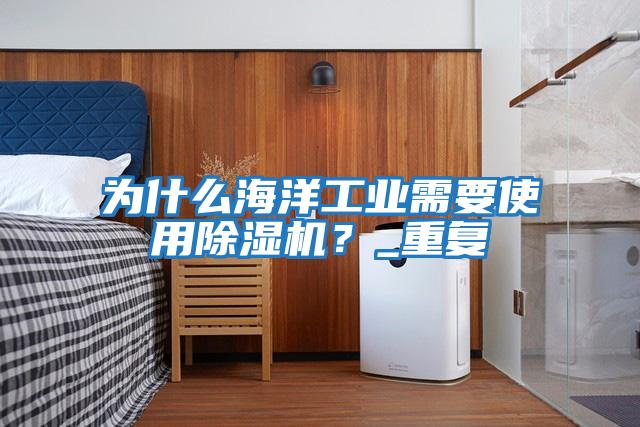 為什么海洋工業需要使用除濕機？_重復