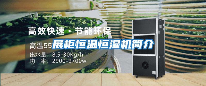 展柜恒溫恒濕機(jī)簡介