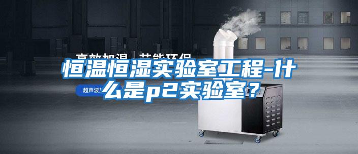 恒溫恒濕實驗室工程-什么是p2實驗室？