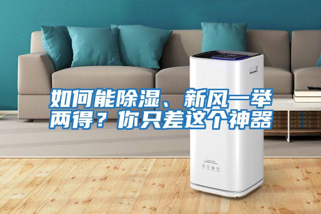 如何能除濕、新風(fēng)一舉兩得?你只差這個(gè)神器