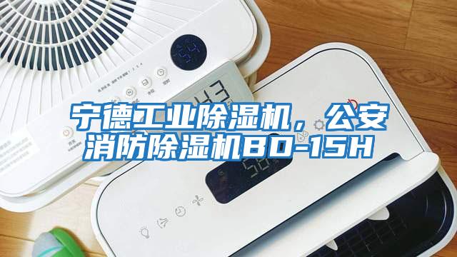 寧德工業(yè)除濕機(jī)，公安消防除濕機(jī)BD-15H