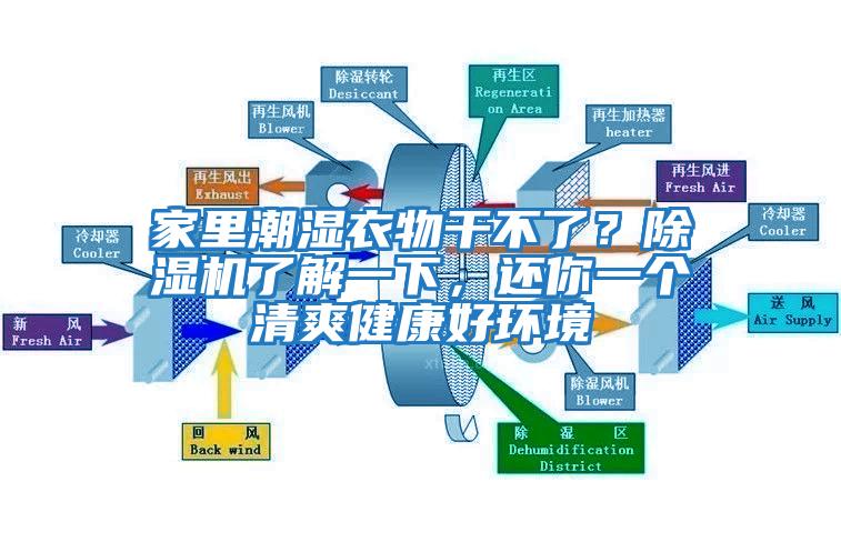 家里潮濕衣物干不了？除濕機了解一下，還你一個清爽健康好環境