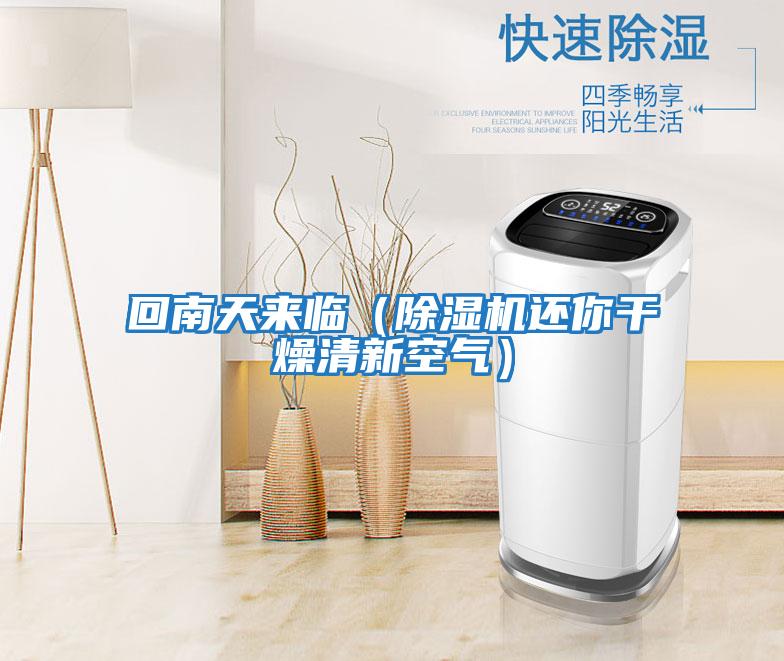 回南天來臨(除濕機還你干燥清新空氣)