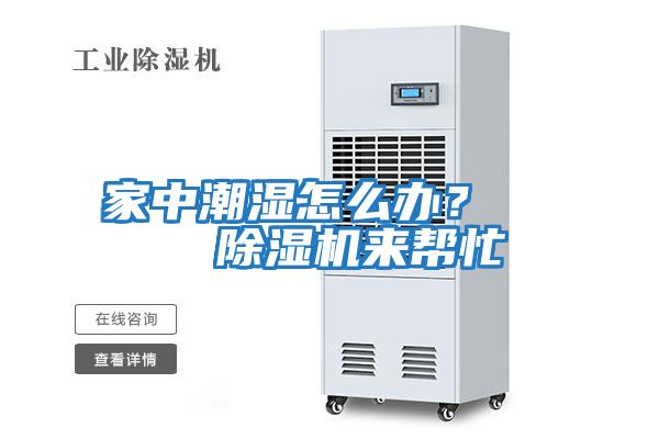家中潮濕怎么辦? 除濕機(jī)來(lái)幫忙