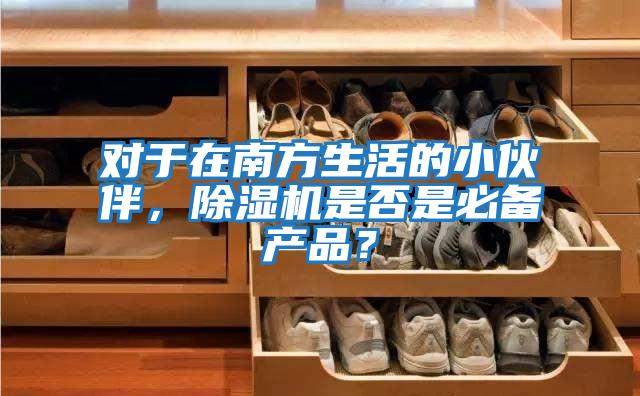對于在南方生活的小伙伴，除濕機是否是必備產品？