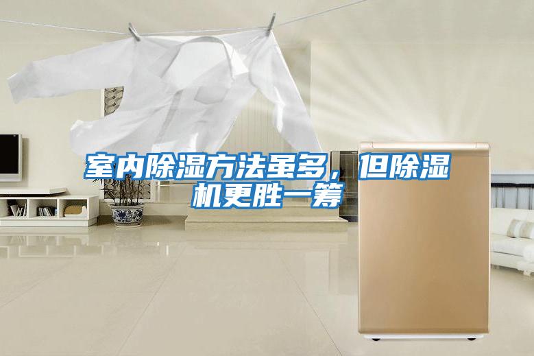 室內除濕方法雖多，但除濕機更勝一籌