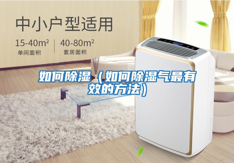 如何除濕(如何除濕氣最有效的方法)