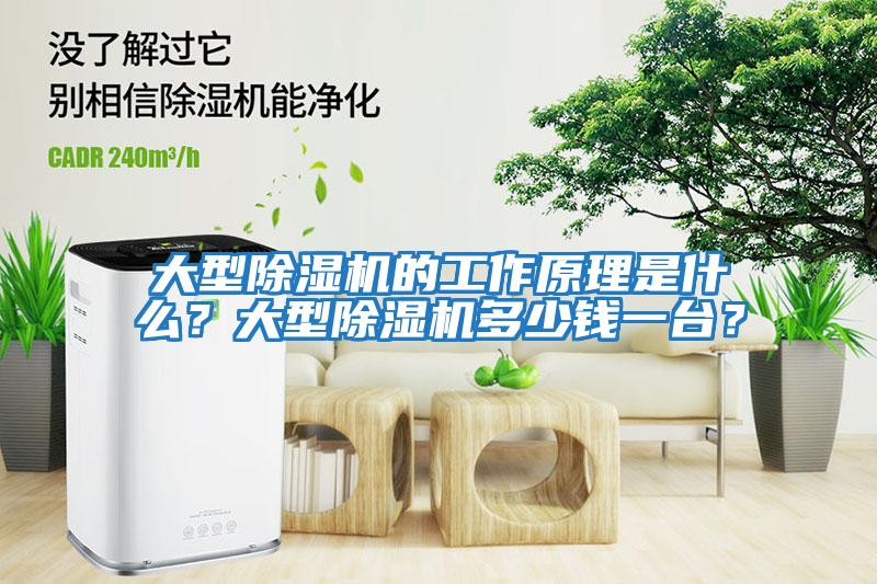 大型除濕機的工作原理是什么？大型除濕機多少錢一臺？