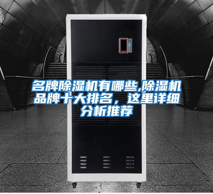 名牌除濕機有哪些,除濕機品牌十大排名，這里詳細分析推薦