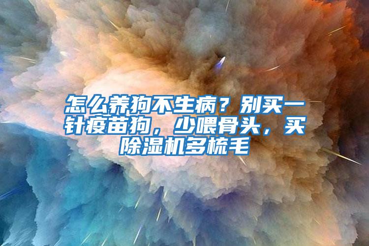 怎么養狗不生病？別買一針疫苗狗，少喂骨頭，買除濕機多梳毛
