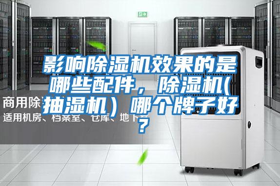 影響除濕機效果的是哪些配件，除濕機(抽濕機）哪個牌子好？