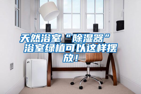 天然浴室“除濕器” 浴室綠植可以這樣擺放！