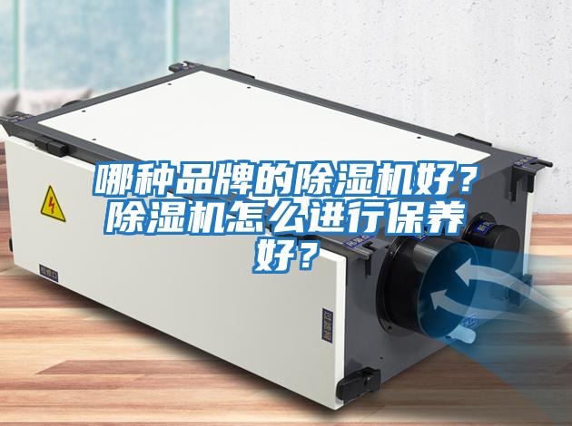 哪種品牌的除濕機好?除濕機怎么進行保養好?