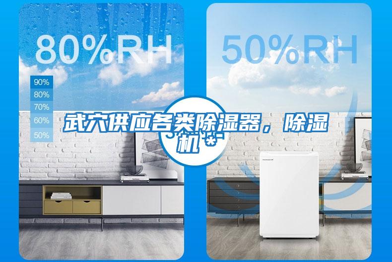 武穴供應(yīng)各類除濕器，除濕機(jī)＊
