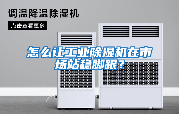 怎么讓工業(yè)除濕機(jī)在市場(chǎng)站穩(wěn)腳跟？